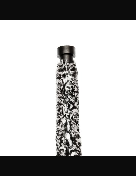 Rico Scovolone Sax Alto