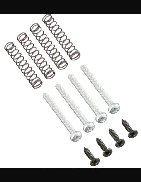 Schaller 237FL Set Molle/Viti per Regolazione Pick up