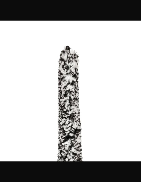 Rico Scovolone Sax Soprano