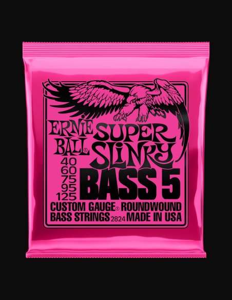 Ernie Ball Slinky 2824 040-125 Muta Corde Basso Elettrico 5 Corde