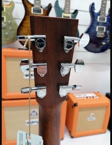 Martin DCPA4 Folk Elettrificata + Case