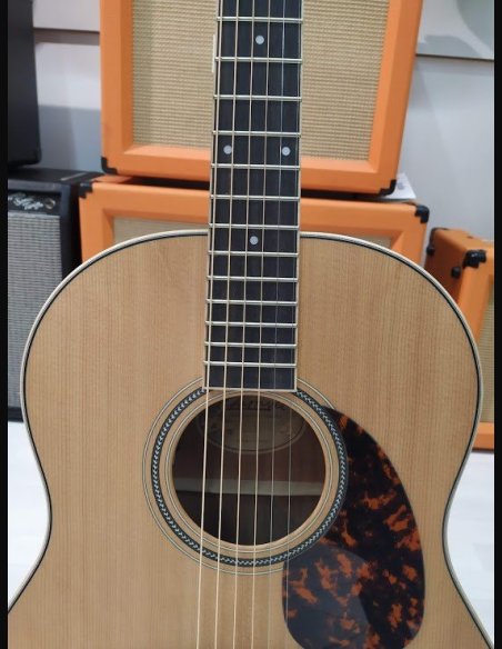 Larriveè L-03E Chitarra Folk Elettrificata