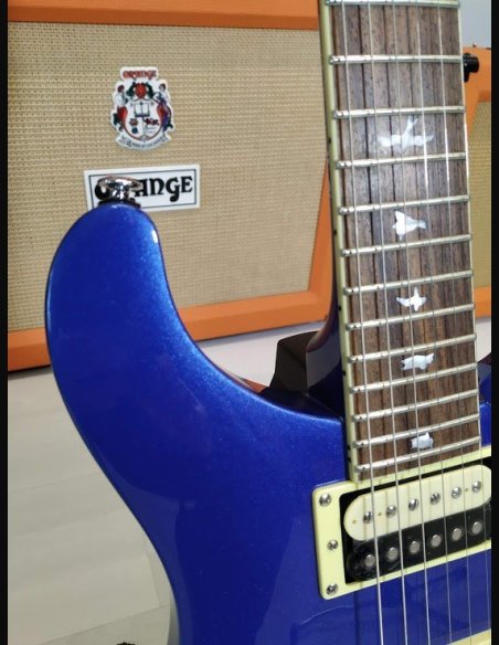 PRS SE Standard STD24 Birds Metallic Royal Blue 2018