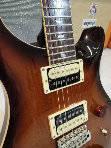 PRS SE Standard STD24 Birds Tobacco Sunburst 2018