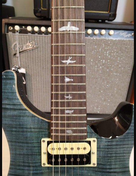 PRS SE Custom 24 Birds TR3WB WhaleBlue 2018
