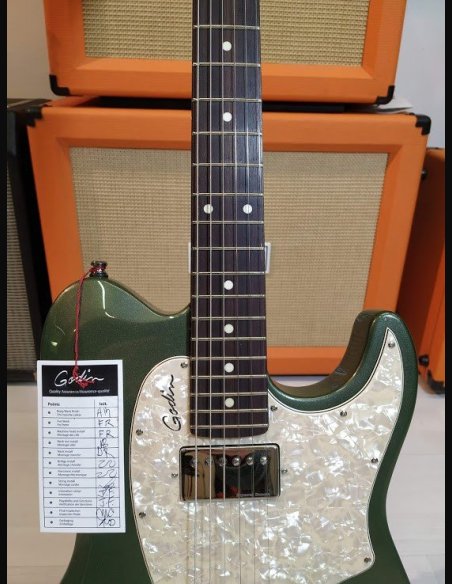 Godin Stadium '59 Desert Green RN w/Bag