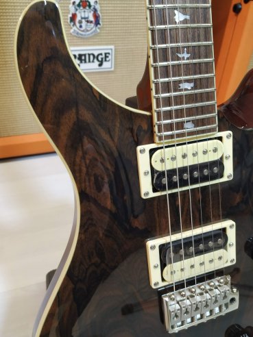 PRS SE Custom 24 Birds TR3WB Ziricote 2019