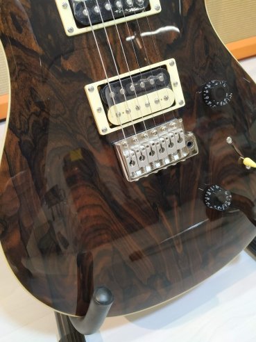 PRS SE Custom 24 Birds TR3WB Ziricote 2019