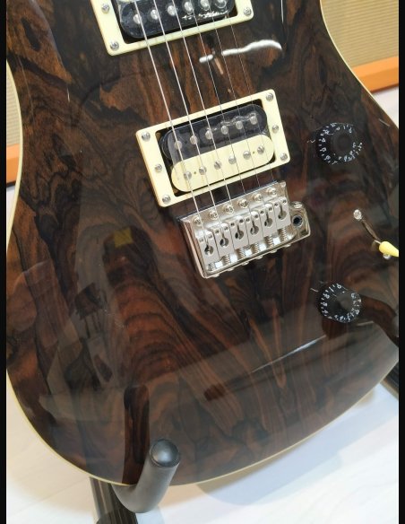 PRS SE Custom 24 Birds TR3WB Ziricote 2019