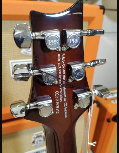 PRS SE Custom 24 Birds TR3WB Ziricote 2019