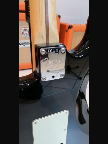 Fender American Professional Stratocaster Rosewood Fingerboard Black