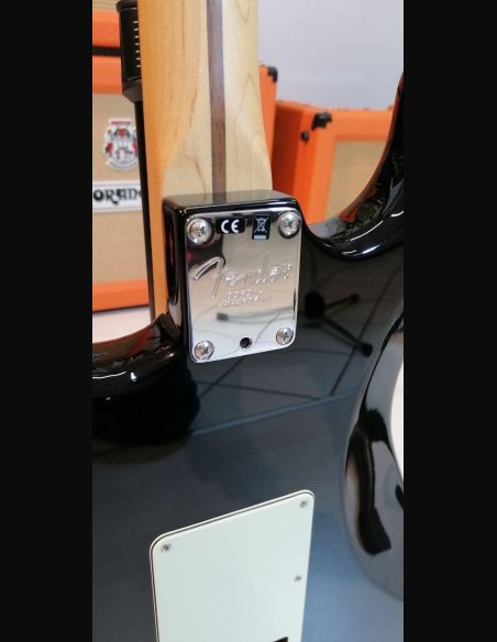 Fender American Professional Stratocaster Rosewood Fingerboard Black