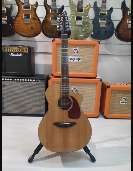 Breedlove 12 Corde Chitarra Folk Elettrificata