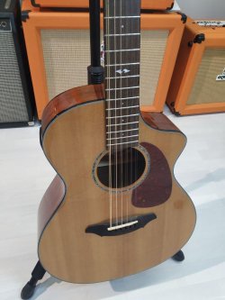 Breedlove 12 Corde Chitarra Folk Elettrificata 2