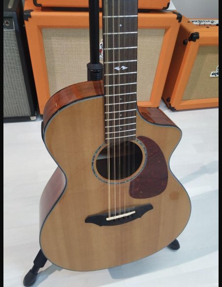 Breedlove 12 Corde Chitarra Folk Elettrificata