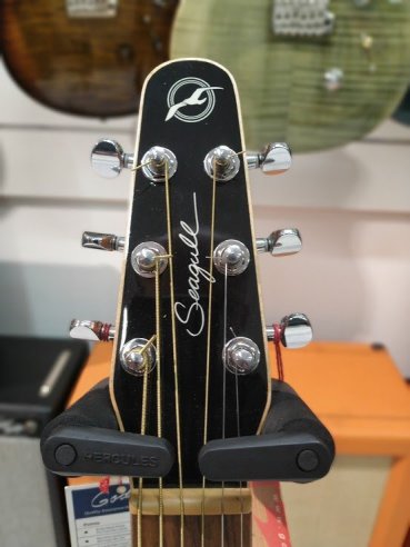 Seagull Dread CW EQ Entorage BK CH Folk EL