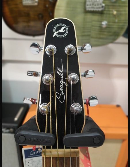 Seagull Dread CW EQ Entorage BK CH Folk EL