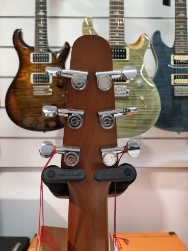 Seagull Dread CW EQ Entorage BK CH Folk EL