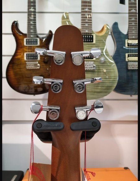 Seagull Dread CW EQ Entorage BK CH Folk EL