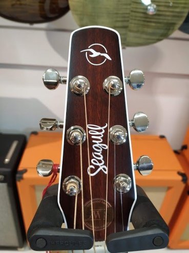 Seagull Maritime SWS SG GT QIT Chitarra Folk Elettrificata