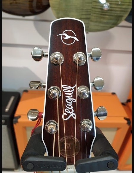 Seagull Maritime SWS SG GT QIT Chitarra Folk Elettrificata