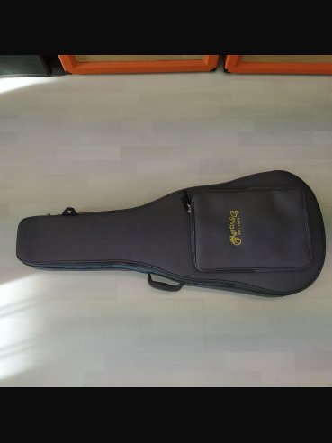 Martin D-10E Folk Elettrificata w/soft shell