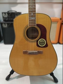 Washburn D97 LTD NT CH Folk 2