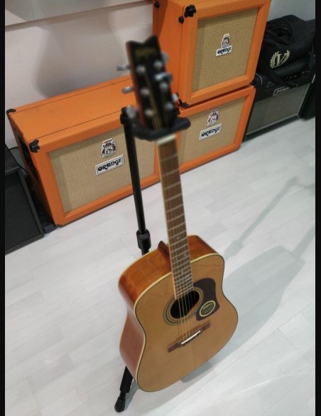 Washburn D97 LTD NT CH Folk