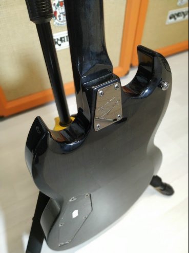 ESP LTD Viper 100FM Chitarra Elettrica