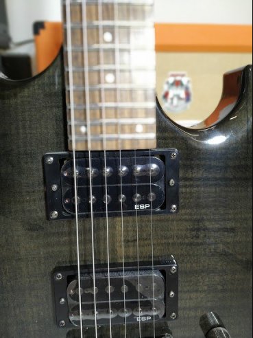 ESP LTD Viper 100FM Chitarra Elettrica