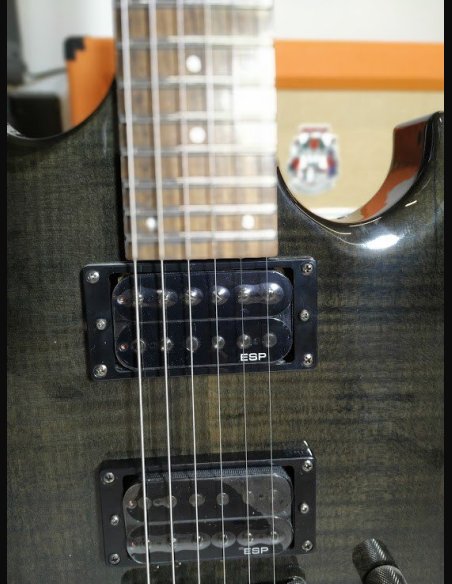 ESP LTD Viper 100FM Chitarra Elettrica