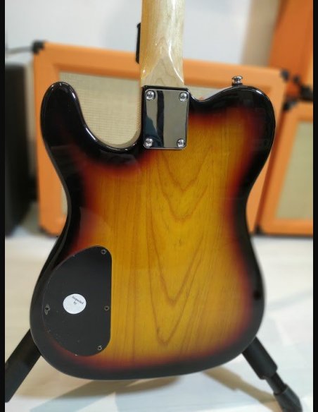 GL Tribute Asat Special Deluxe Carved Top 3 Color Sunburst