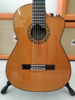 Esteve Elec Chitarra Classica Elettrificata 2