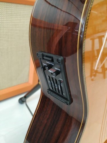 Esteve Elec Chitarra Classica Elettrificata