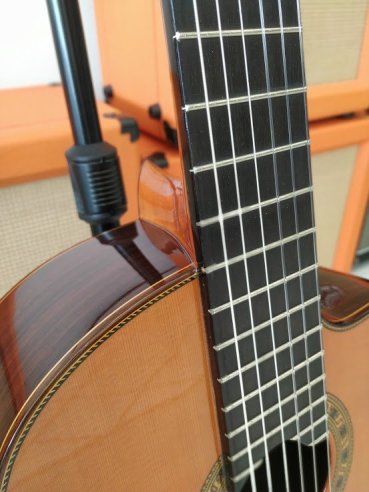 Esteve Elec Chitarra Classica Elettrificata