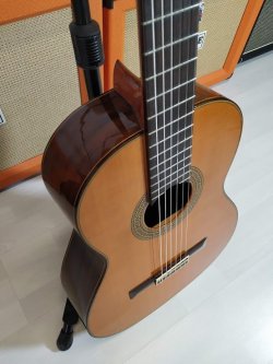 Esteve 7 Chitarra Classica 2