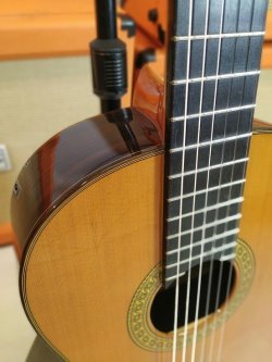 Esteve 7SR Chitarra Classica 2