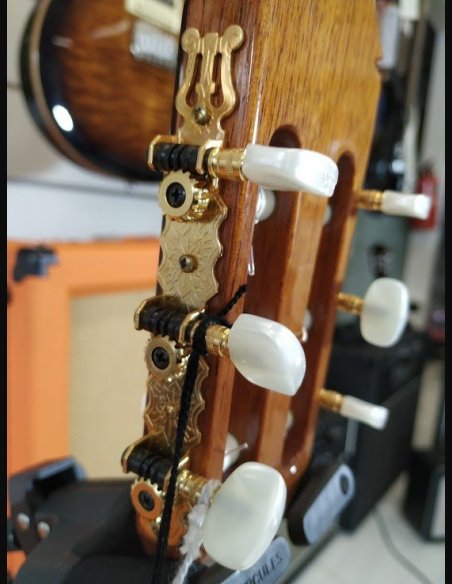 Raimundo 610E Chitarra Classica Elettrificata