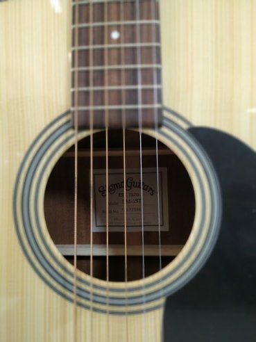 Sigmaguitars DM-1ST