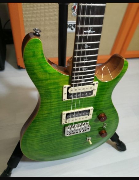 PRS SE Custom 24-08 Eriza Verde