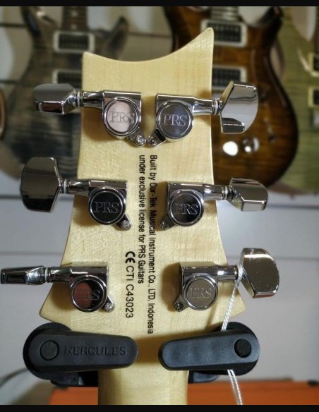 PRS SE Custom 24-08 Eriza Verde