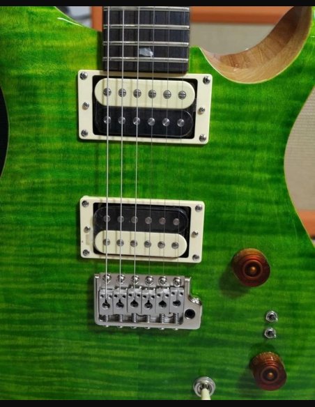 PRS SE Custom 24-08 Eriza Verde